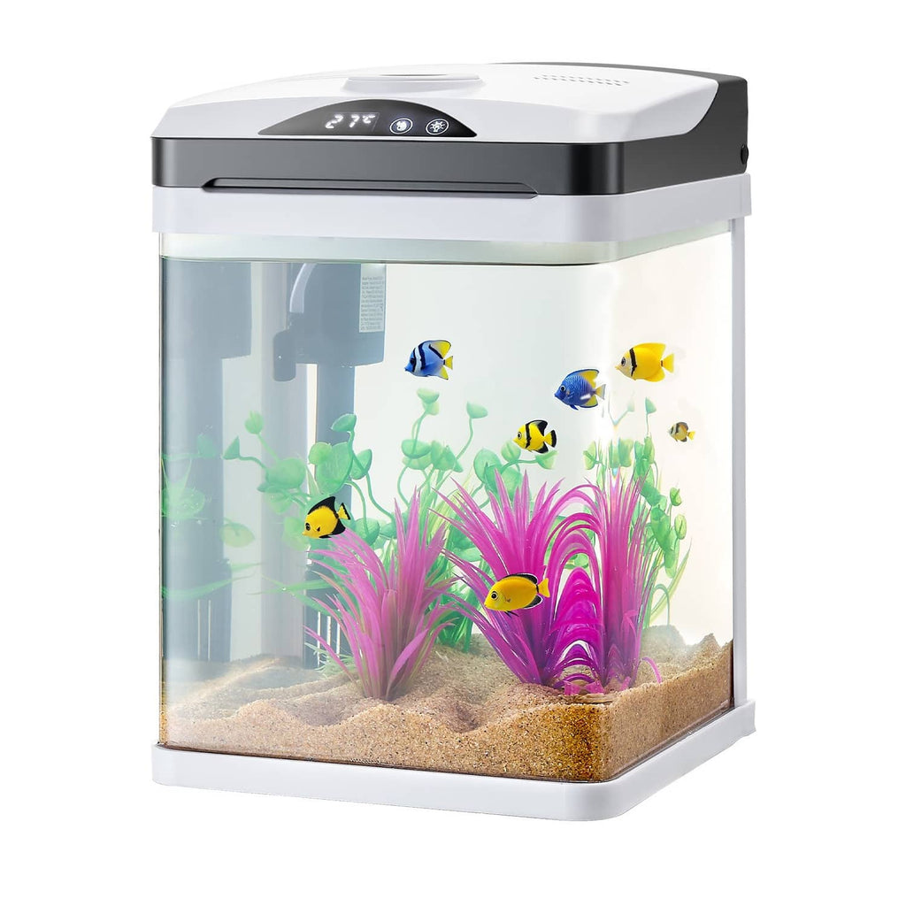 Square clear-glass fish tank with white base and black top control panel, blue/yellow fish