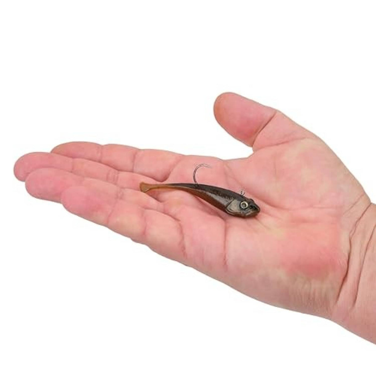Dark green pumpkin paddle-tail lure resting on an open hand