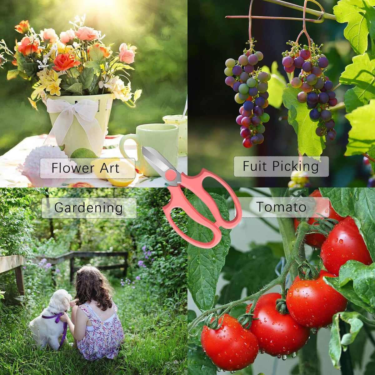 Pink flower scissors among green leaves and red tomatoes in a garden