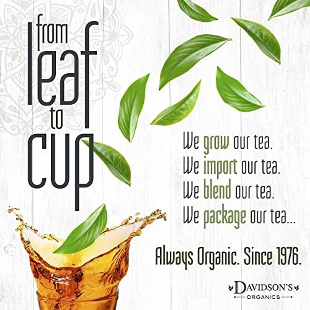 Organic tea branding card with green leaves and glass cup; Davidson's Organic logo