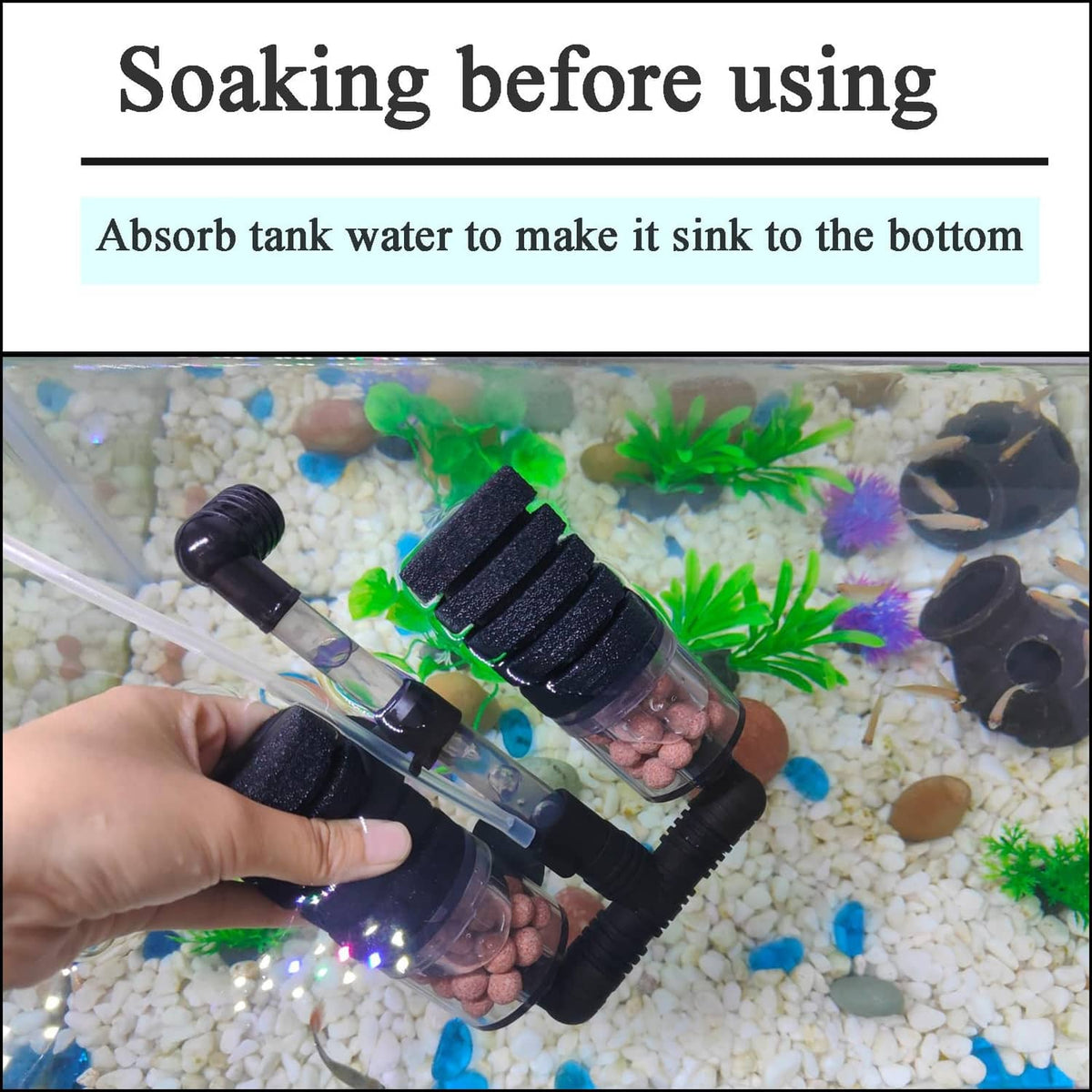 Aquarium sponge filter submerged in tank water, being soaked in clear container