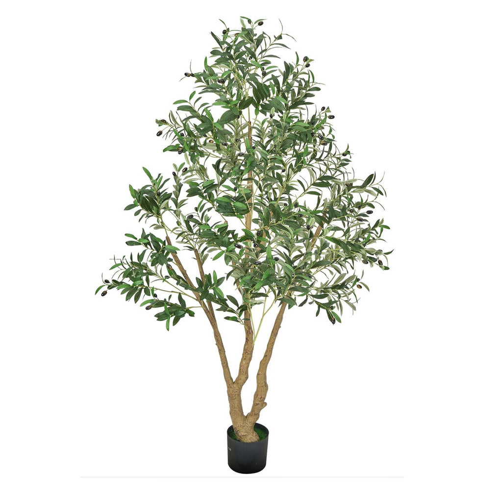 Artificial olive tree in black pot, tall with dense green leaves and olive accents