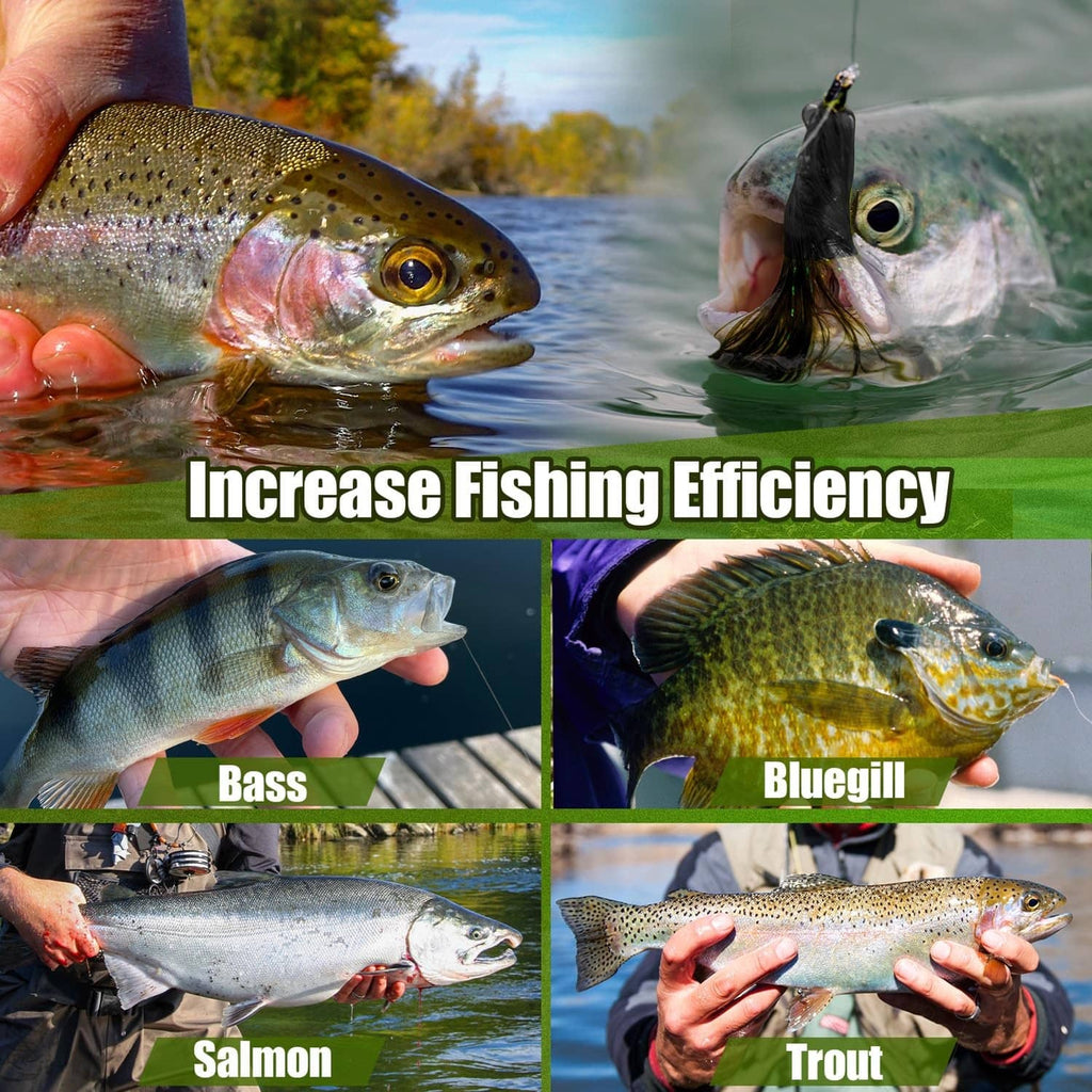 Fishing fly lure kit with colorful lure examples for catching fish