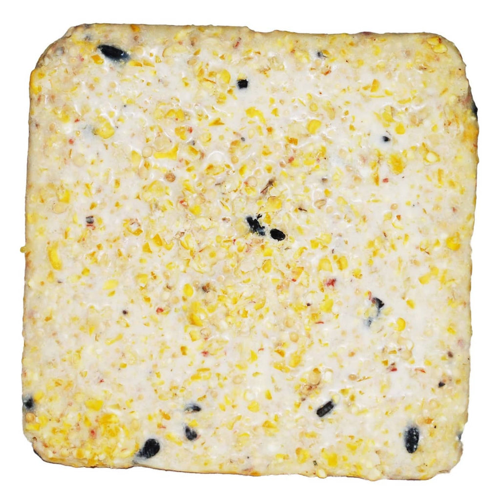 Light cream wild bird suet cake block with seed and fat specks