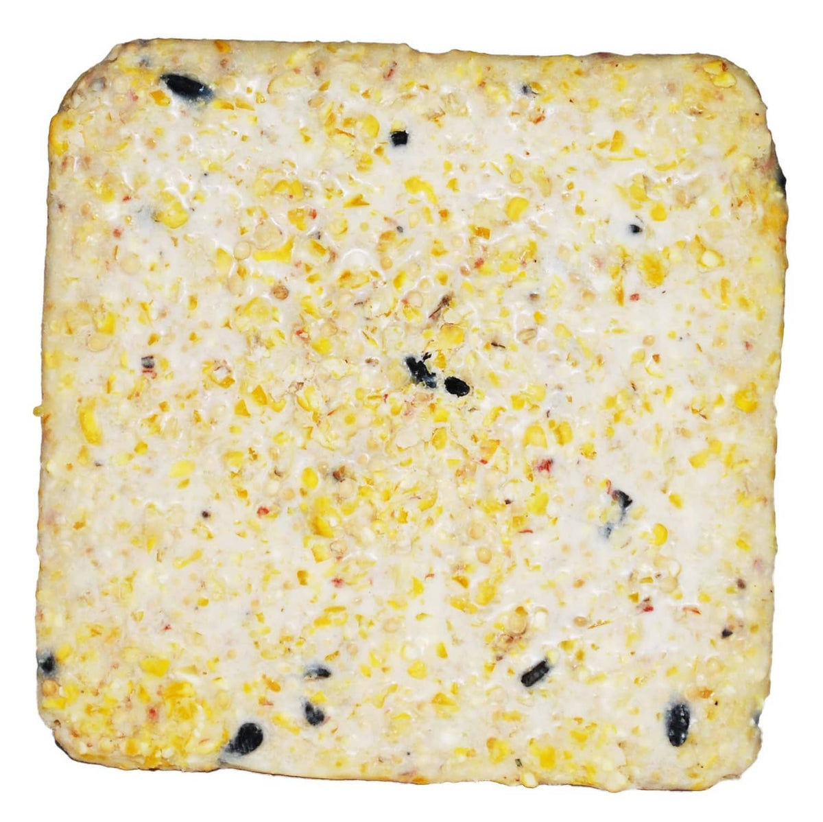 Light cream wild bird suet cake block with seed and fat specks