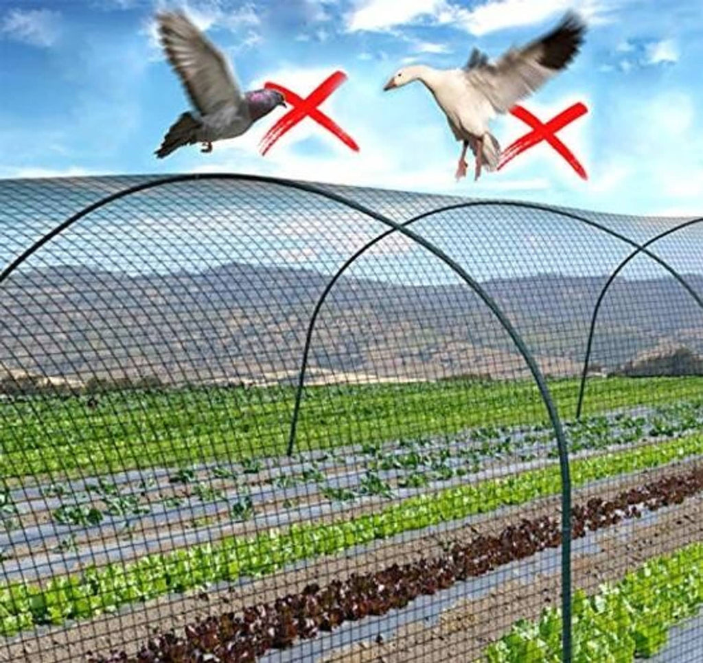 Arched white bird netting cover over garden crops with fine mesh grid