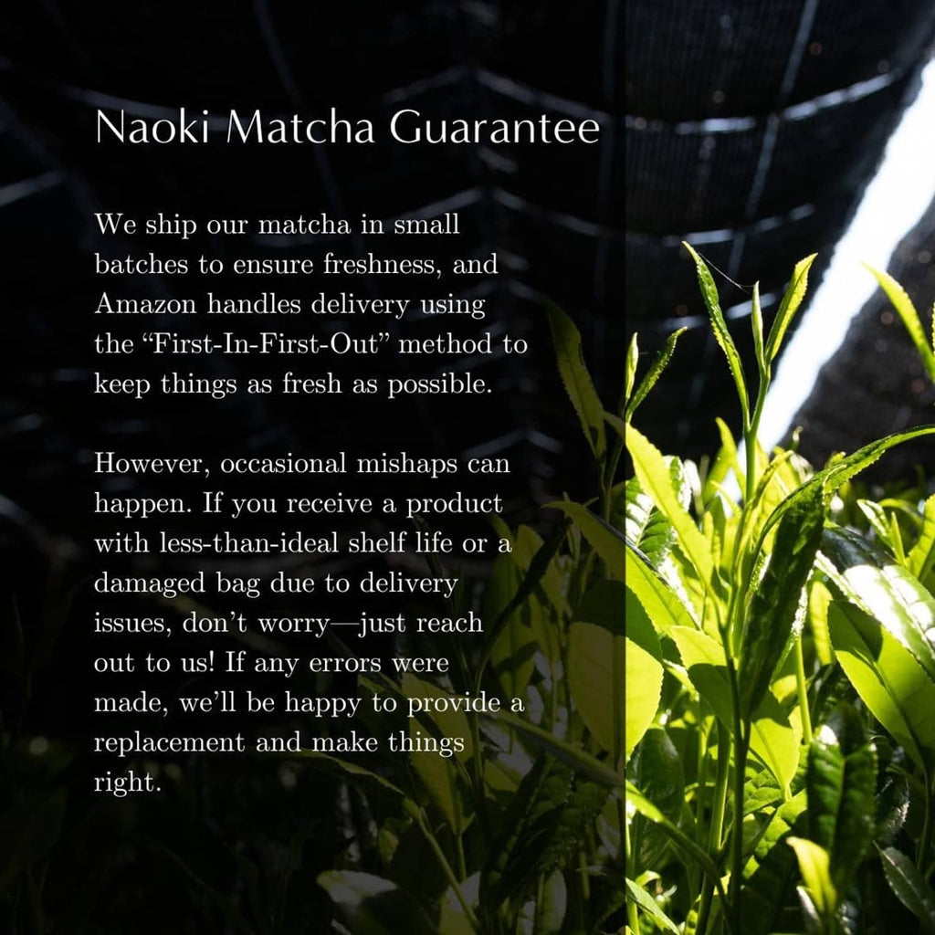 Fresh green matcha tea leaves growing on a plant