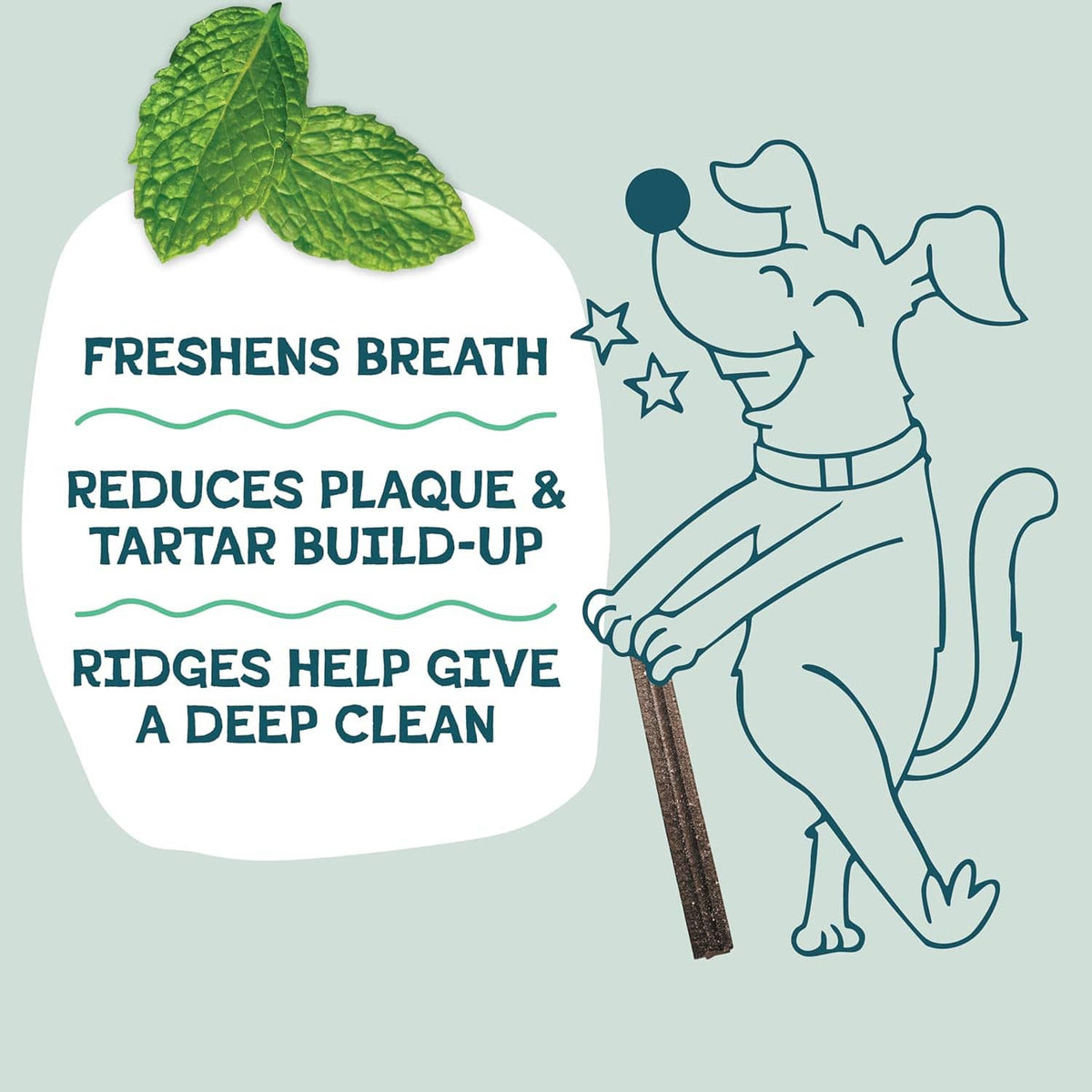 Dog dental chew bag panel showing freshness benefits and a pictured chew stick with cat outline.