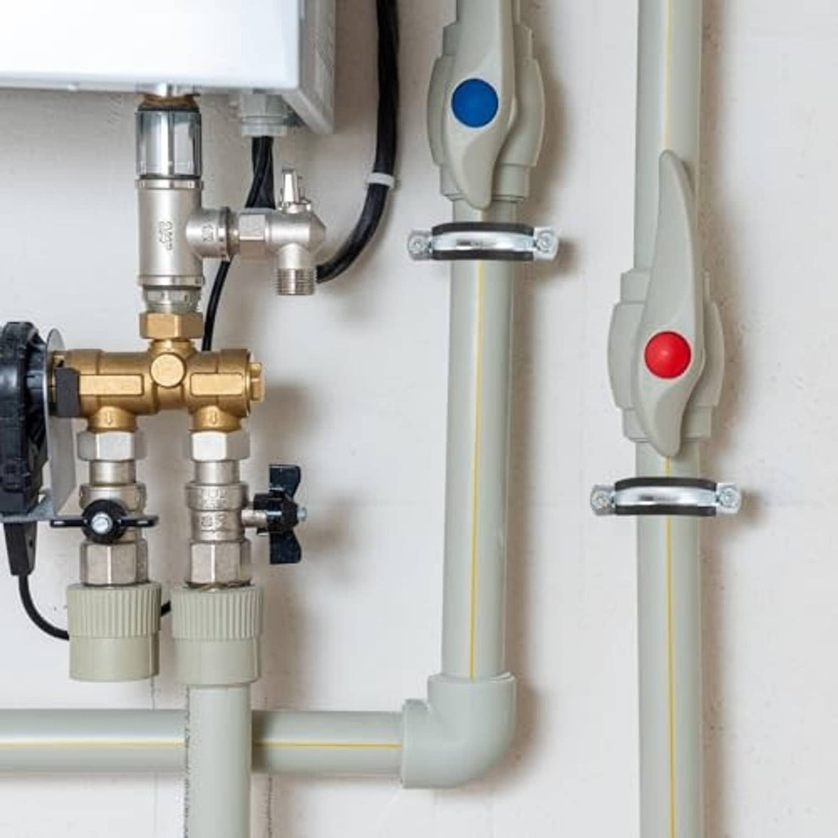 Pipe bracket clamp securing a pipe to a wall-mounted bracket plate