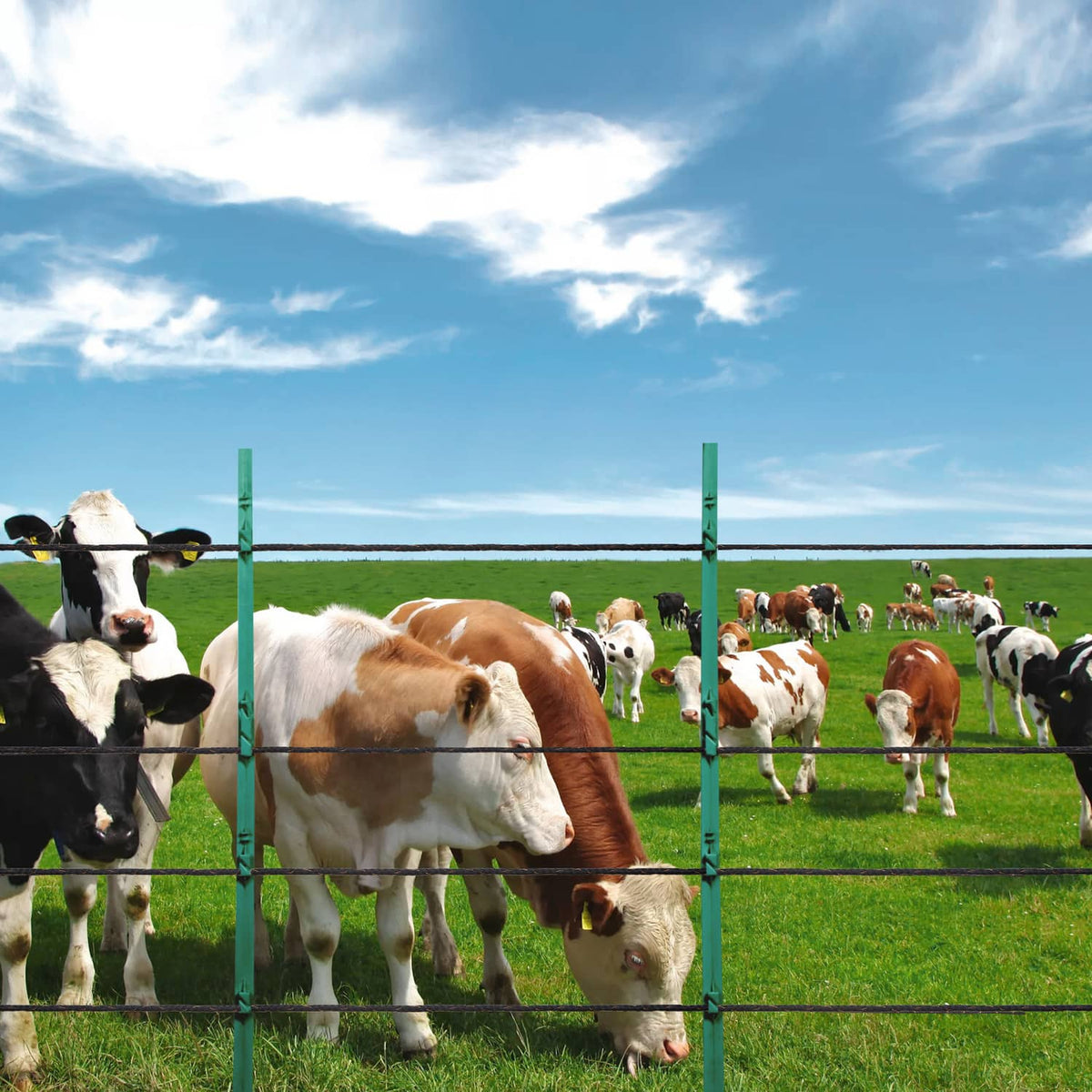 Black electric fence wire grid between green posts for livestock containment