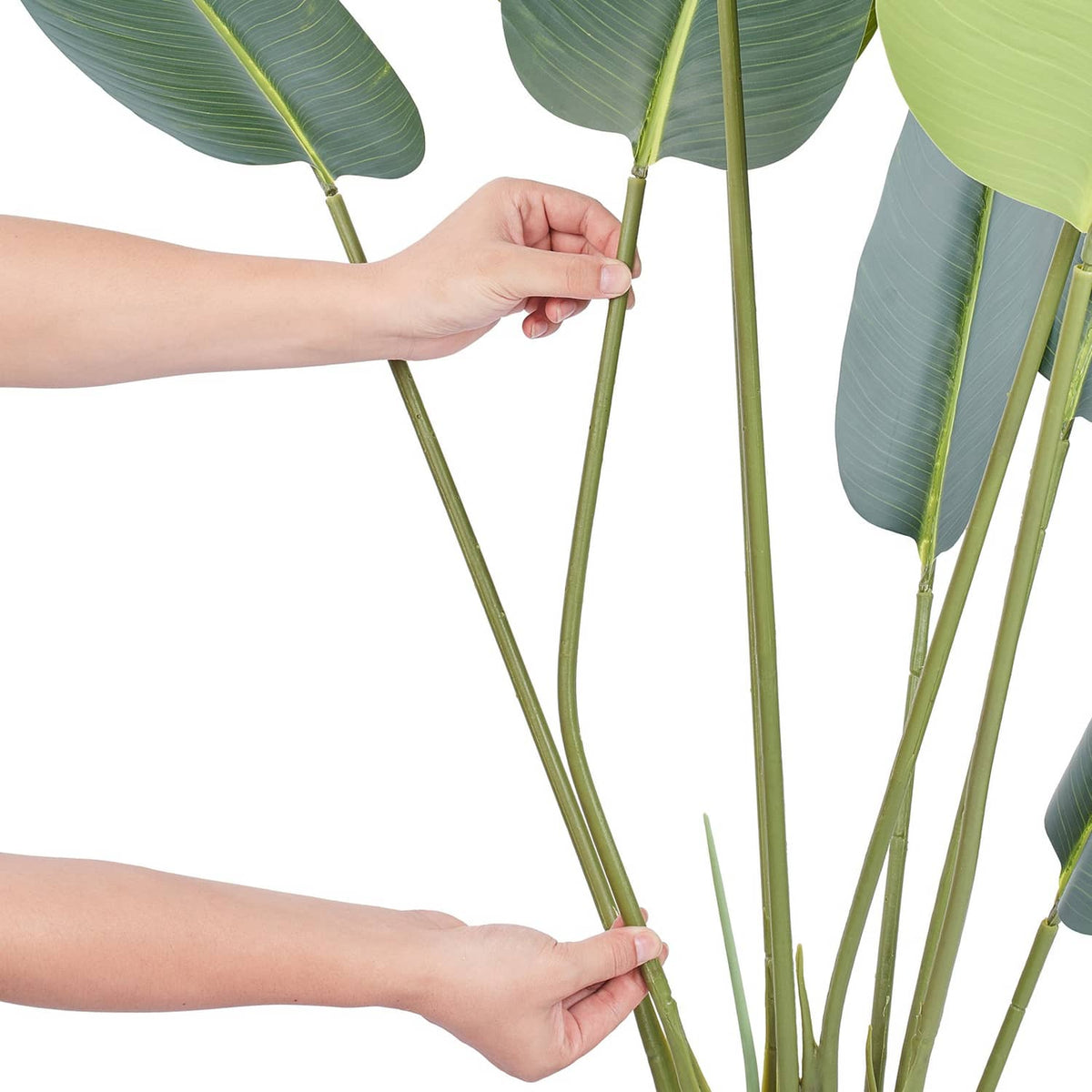 Adjustable artificial bird of paradise palm stems with green leaves