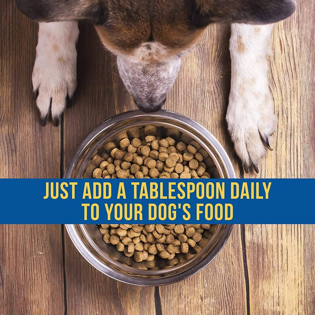 Dog food bowl with brown kibble and dog paws near the feeding bowl