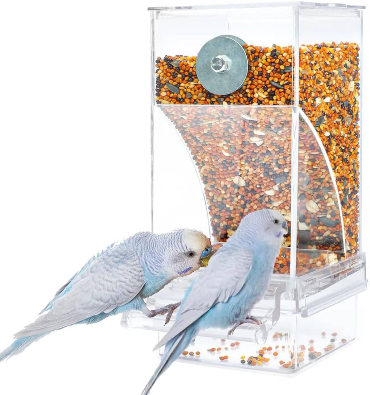 Clear automatic cage feeder with round metal dispenser, mixed seed, two blue budgies