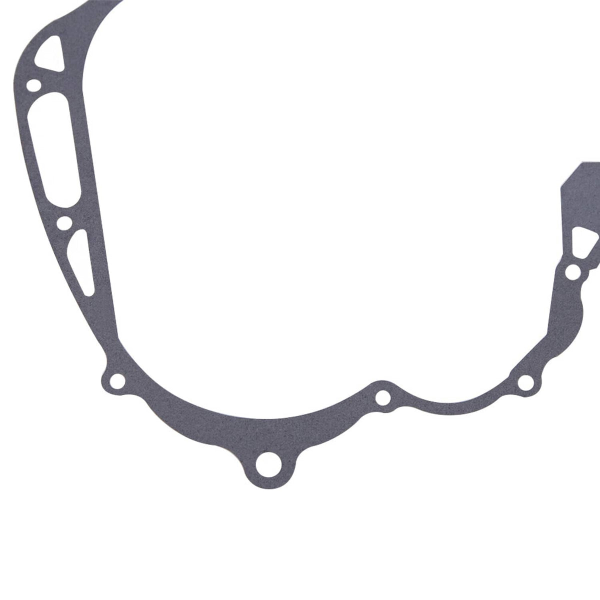 Full crankcase gasket outline in dark gray with mounting holes and internal cutouts