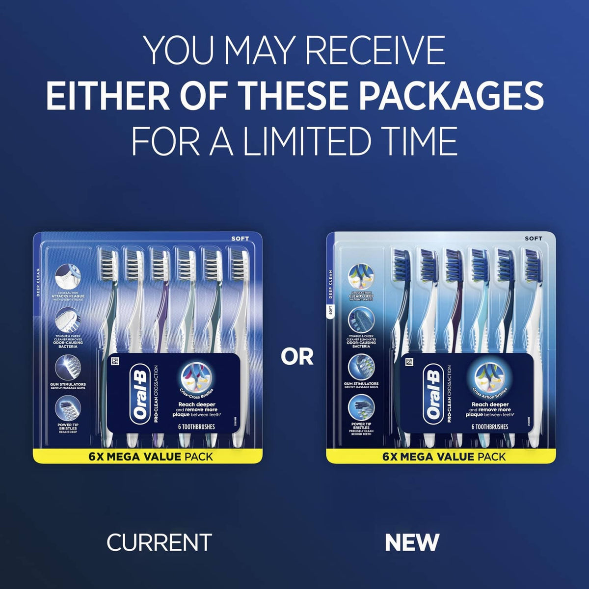 Toothbrush pack option display, blue-handled soft bristles in tray