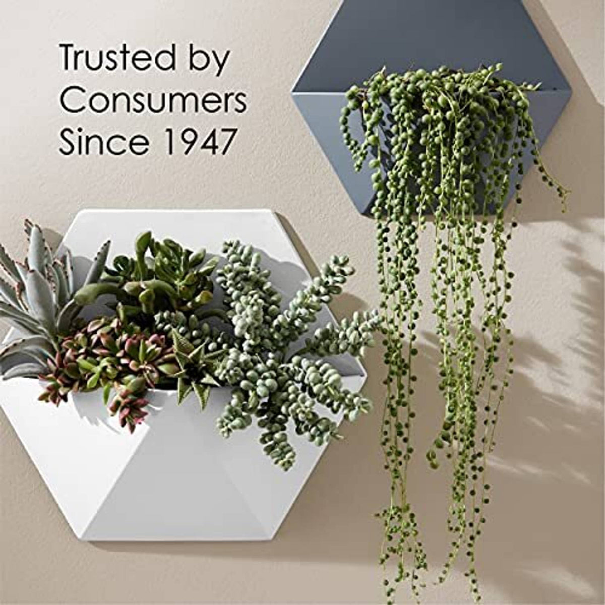 White wall-mounted planter with succulents and trailing string plants