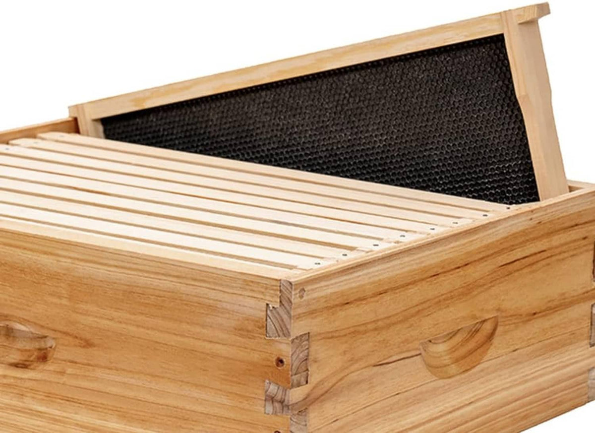 Close-up of light wood beehive frame holding a dark honeycomb foundation sheet