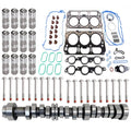 Camshaft lifters kit with steel lifters, gaskets, and seal hardware