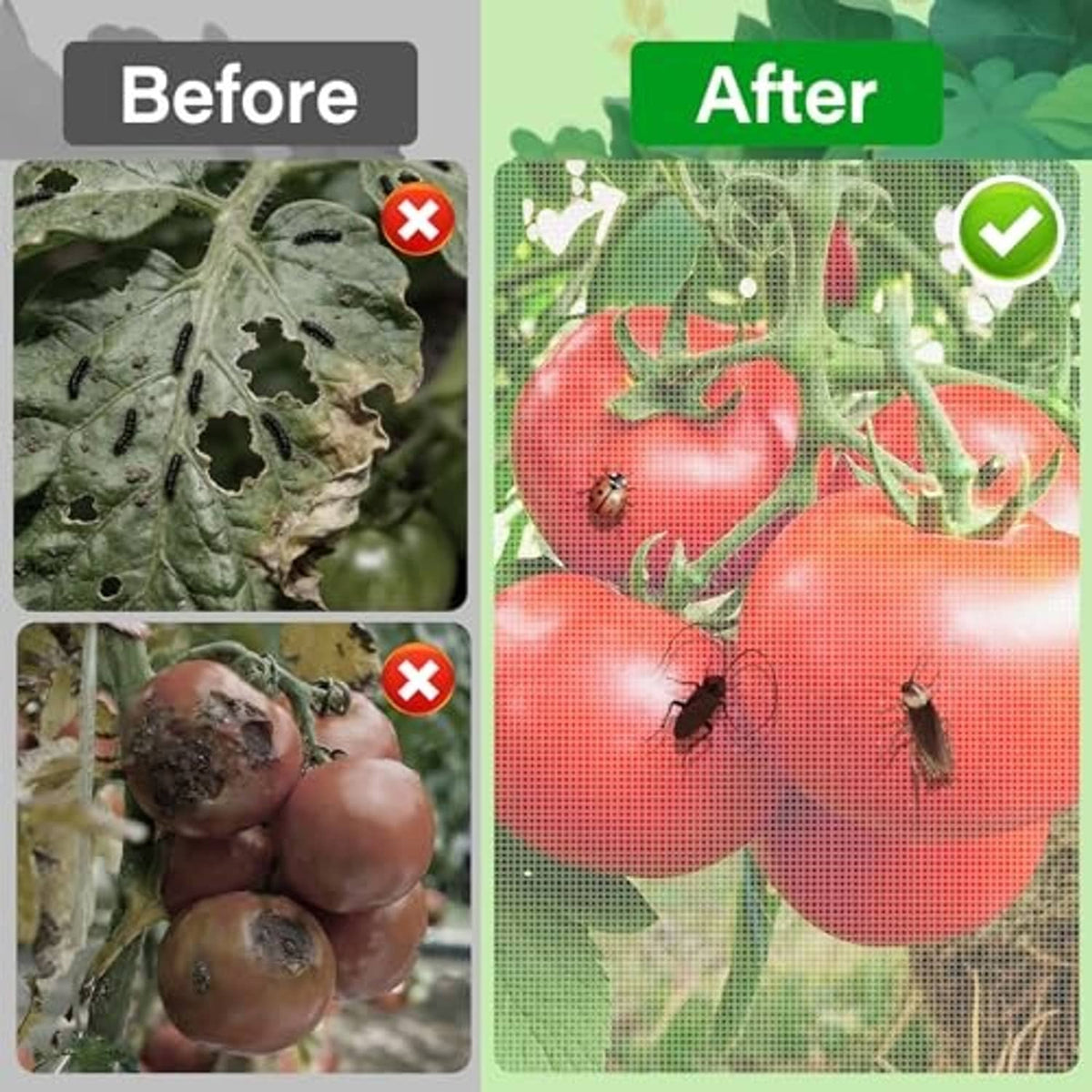 White mesh netting installed over garden produce to help block birds and insects.
