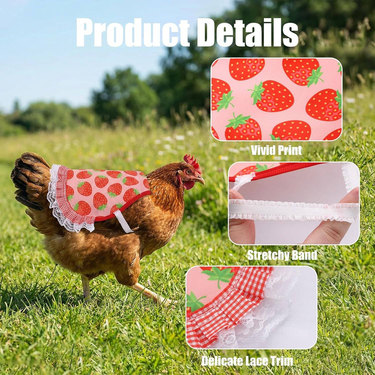 Chicken wearing strawberry printed saddle apron with white lace trim; inset shows stretchy band and edge