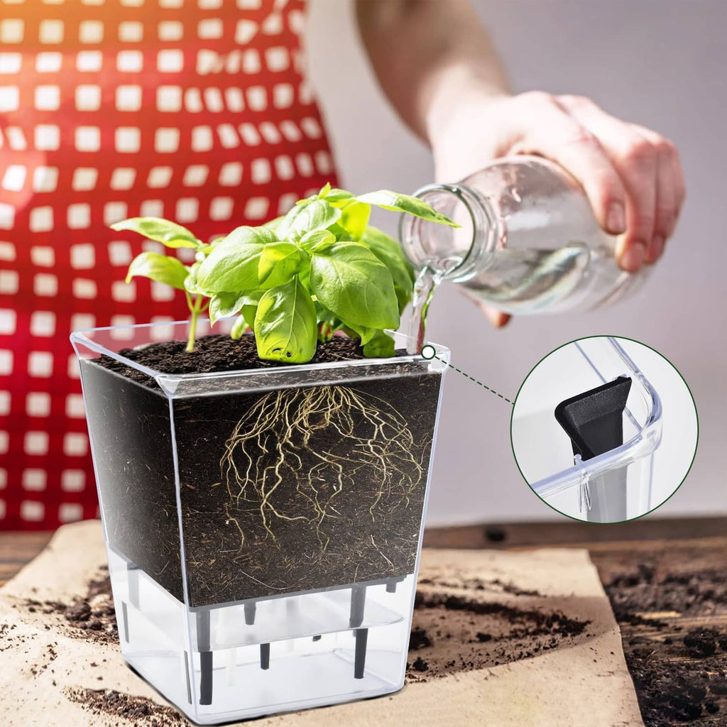 Clear self-watering plant pot with dark soil and watering can pouring water into top