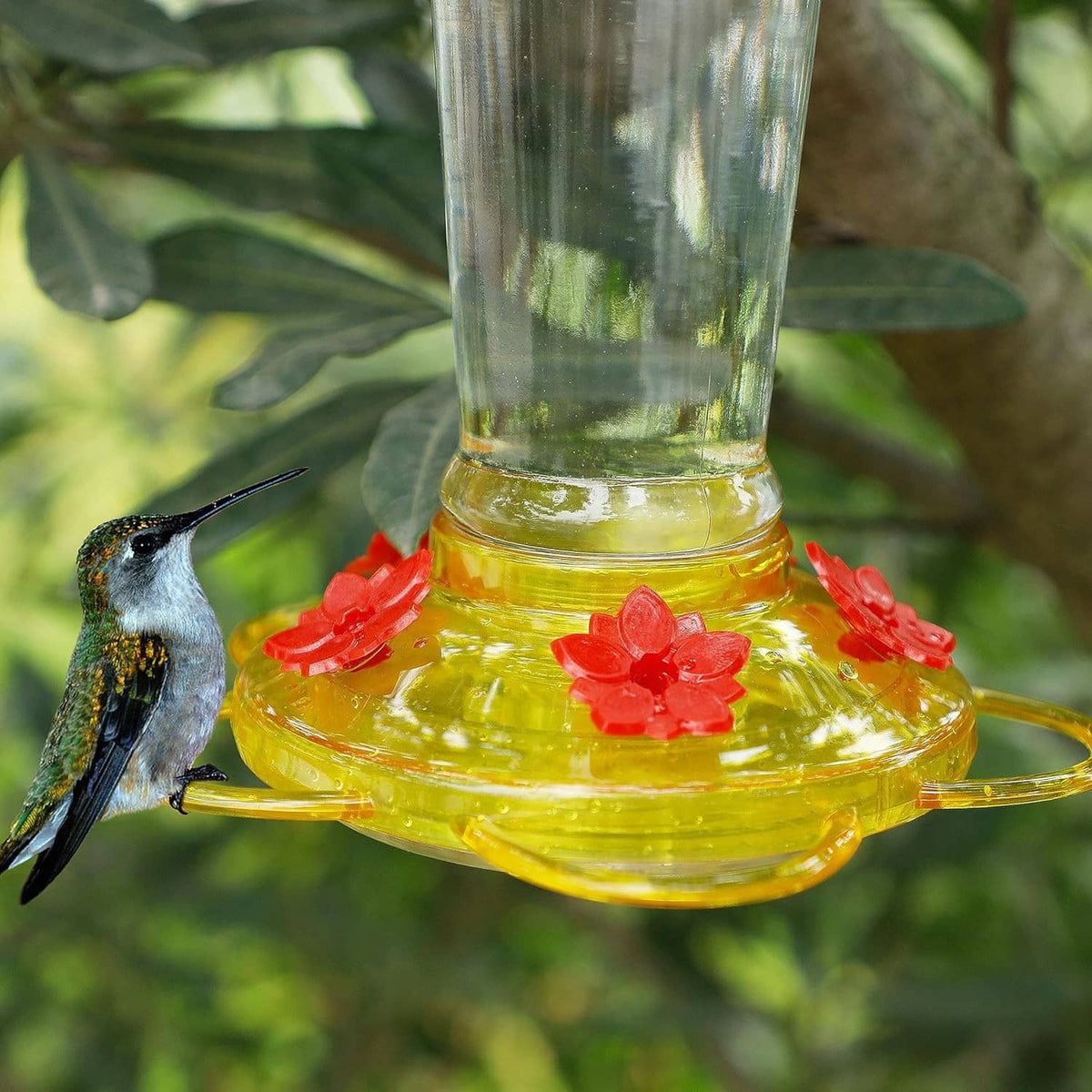 Yellow flower feeding ports on clear glass hummingbird feeder bottle