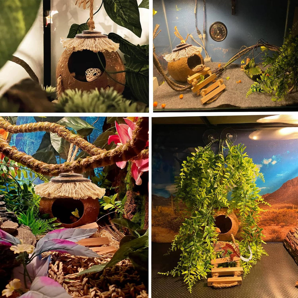 Coconut gecko hide and wooden ladder in terrarium setup with leafy plants