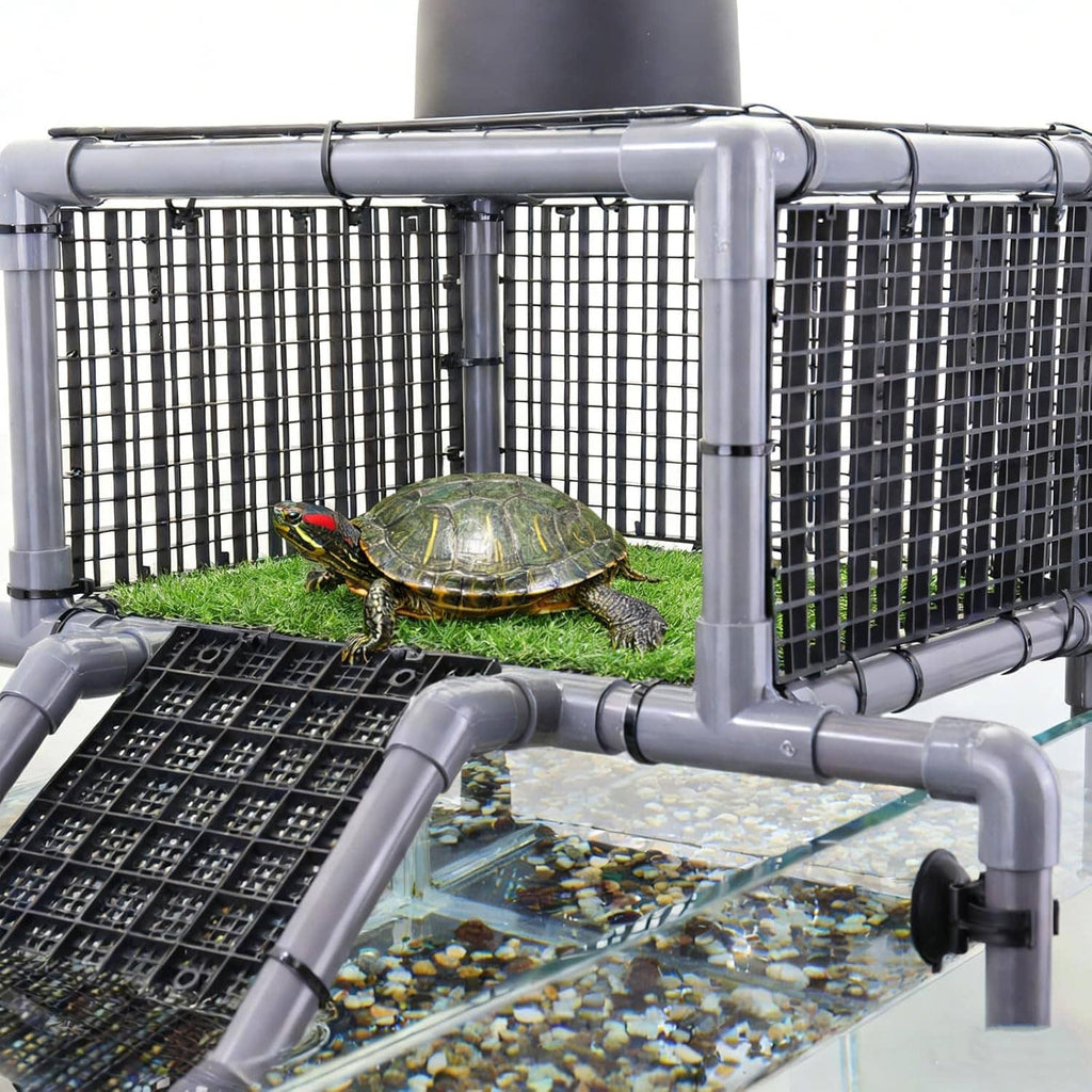 Turtle basking on green-topped dock with black ramp and gray metal railing