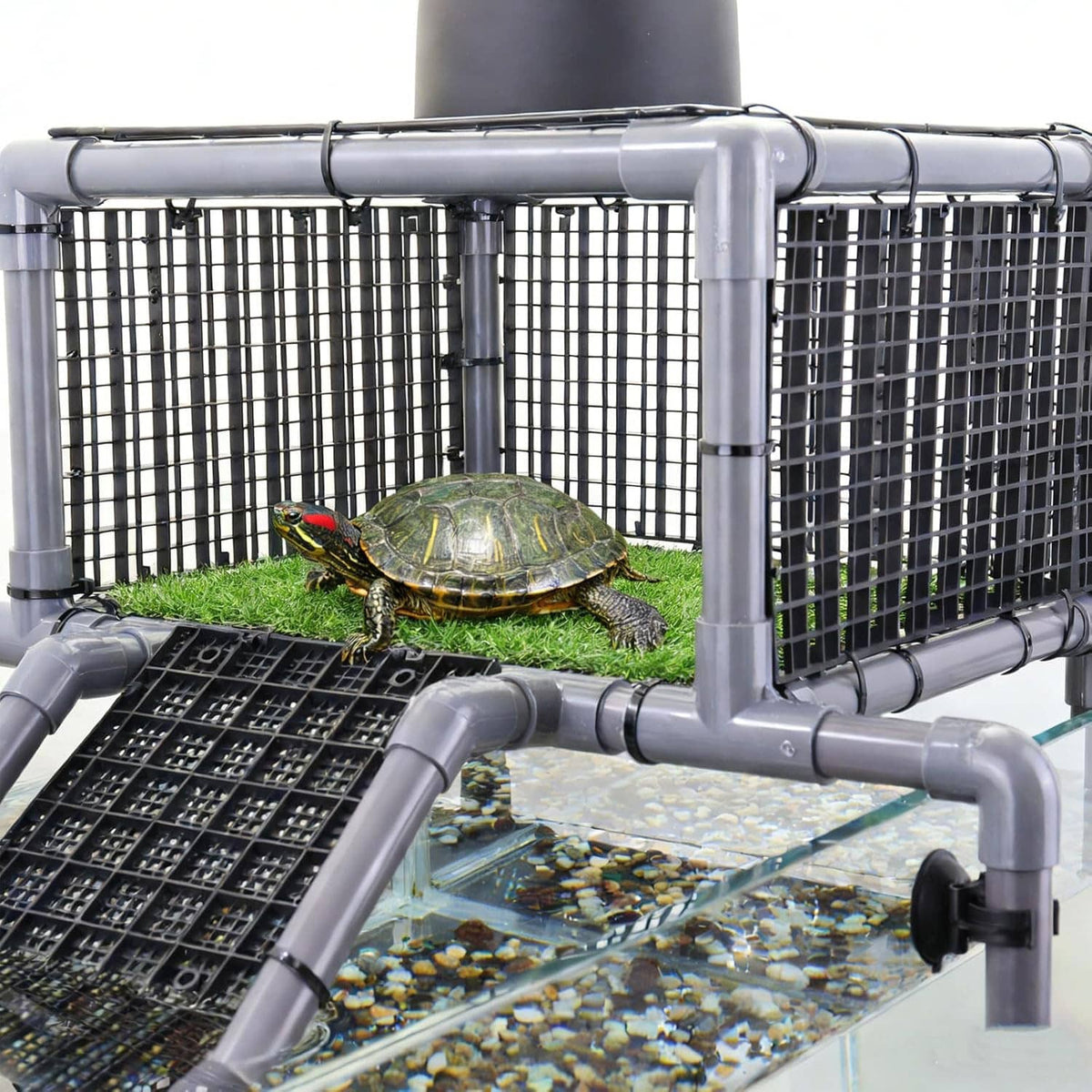 Turtle basking on green-topped dock with black ramp and gray metal railing
