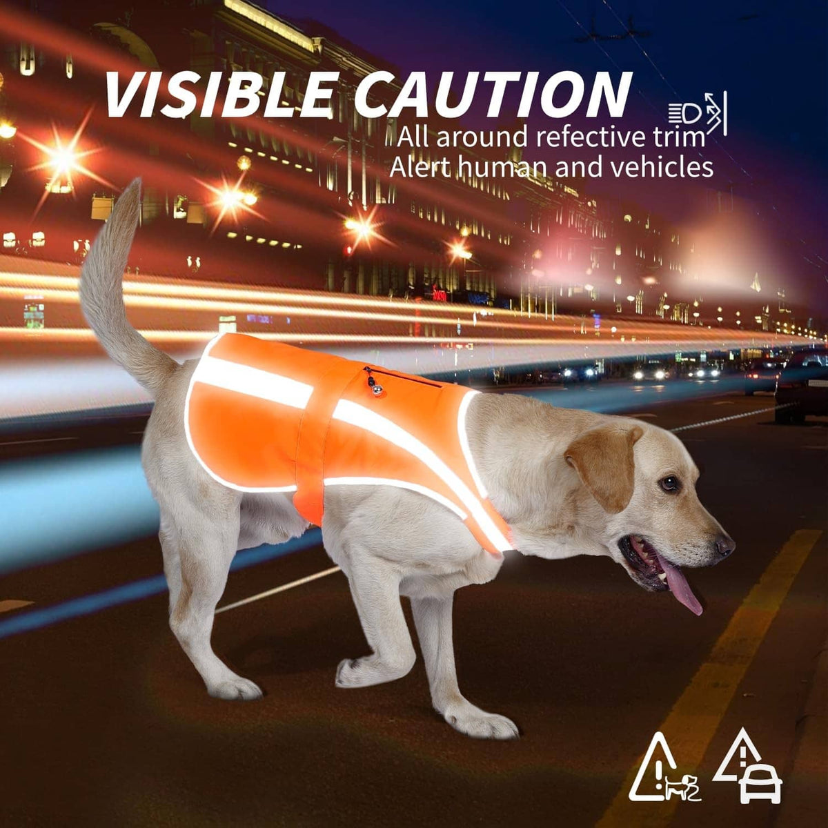 Orange reflective dog vest on dog standing on road, silver light-up striping