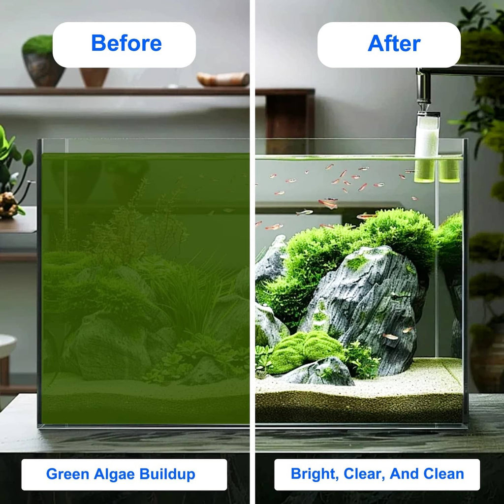 Aquarium glass cleaning with algae buildup removed for bright clear water view