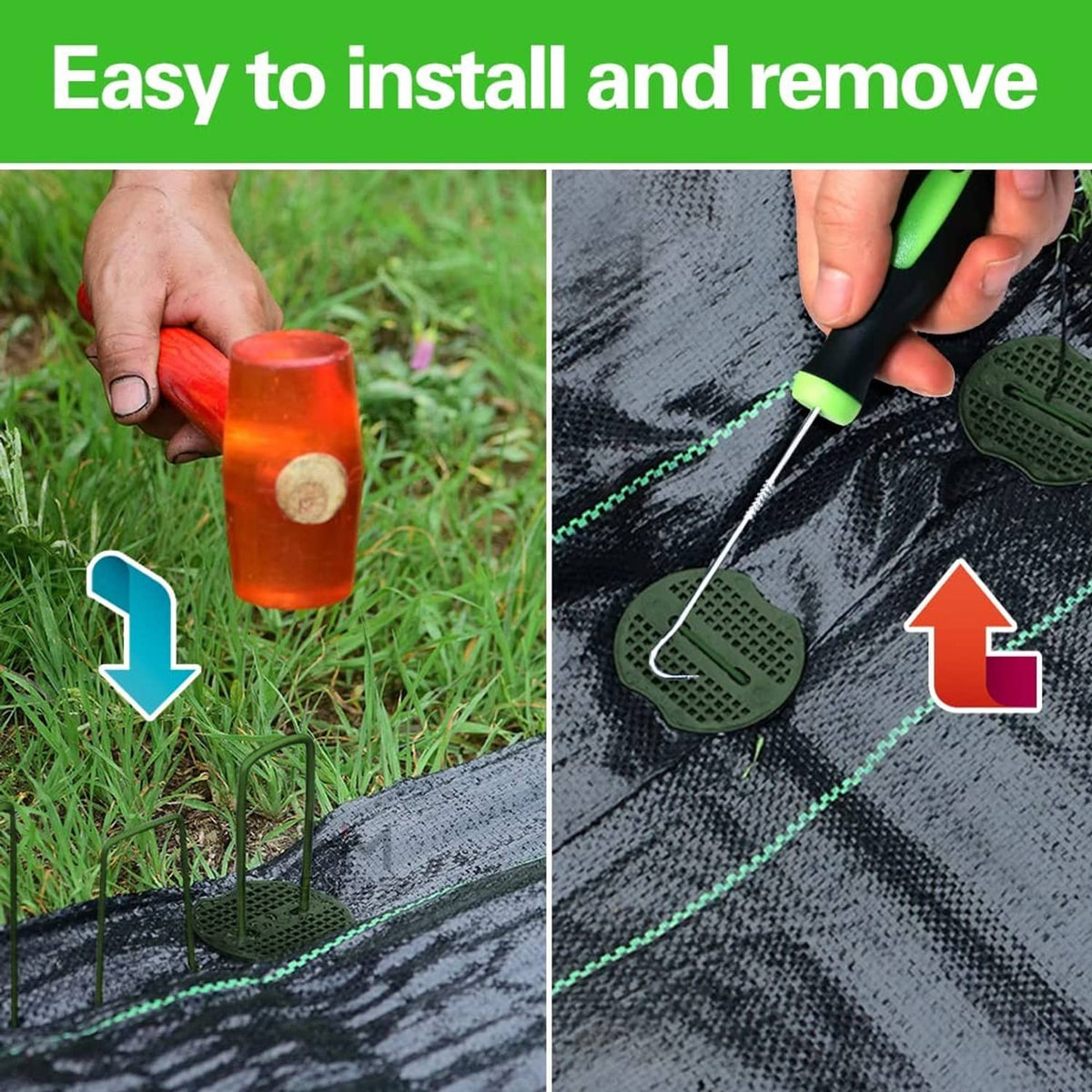 Hand driving a green U-shaped turf staple into artificial turf