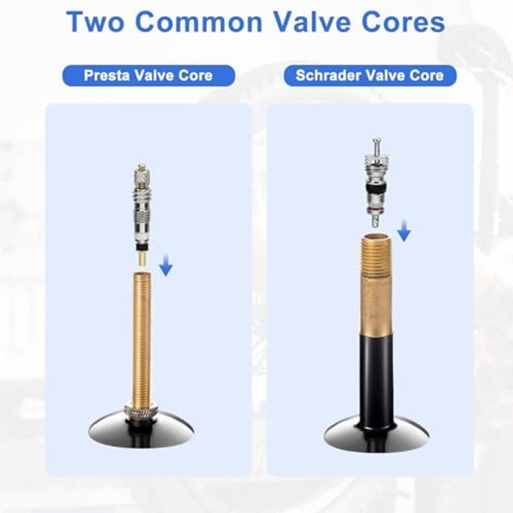 Presta and Schrader valve cores shown separately with inlet openings and core details