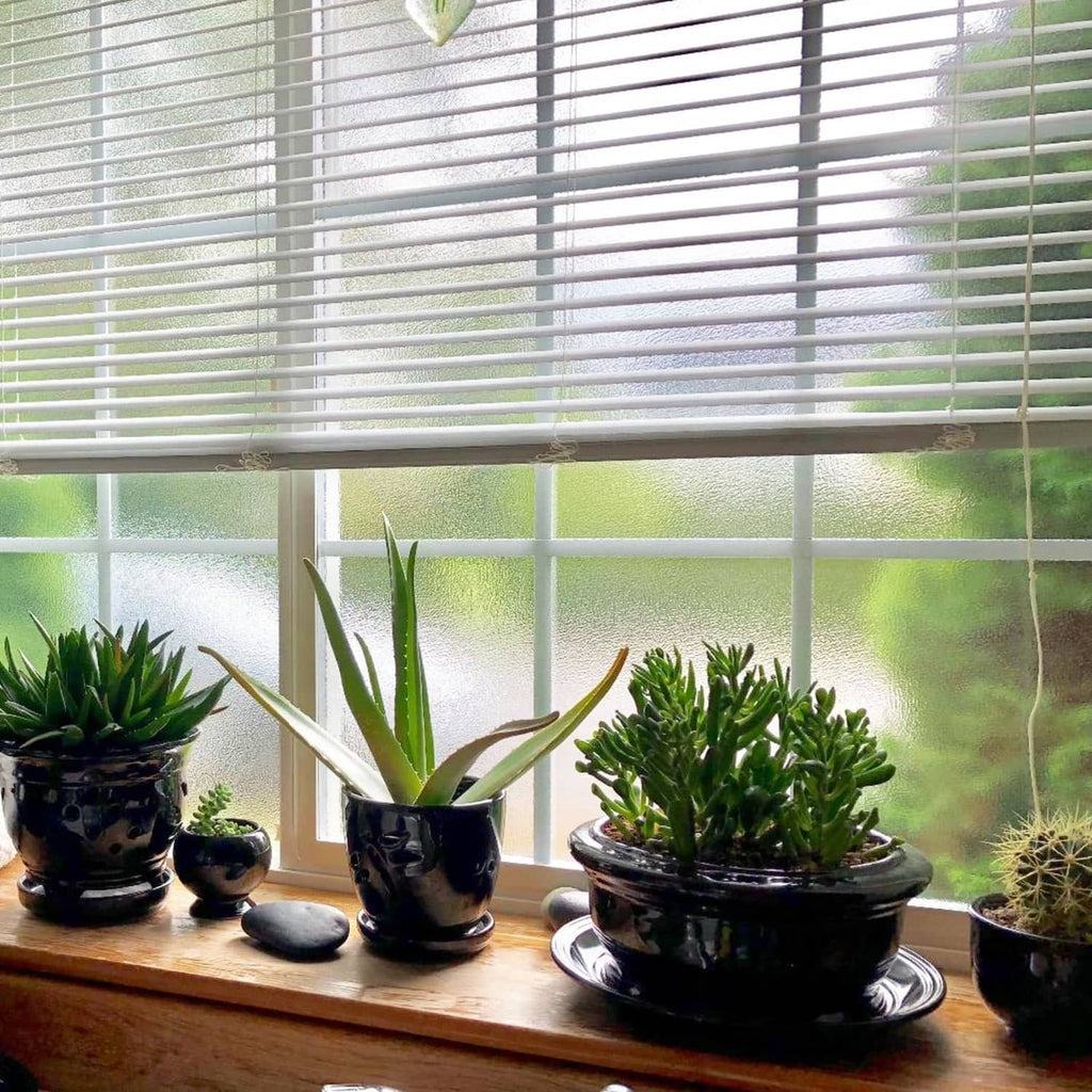 Frosted privacy window film on interior window, obscures outdoor view while letting light in