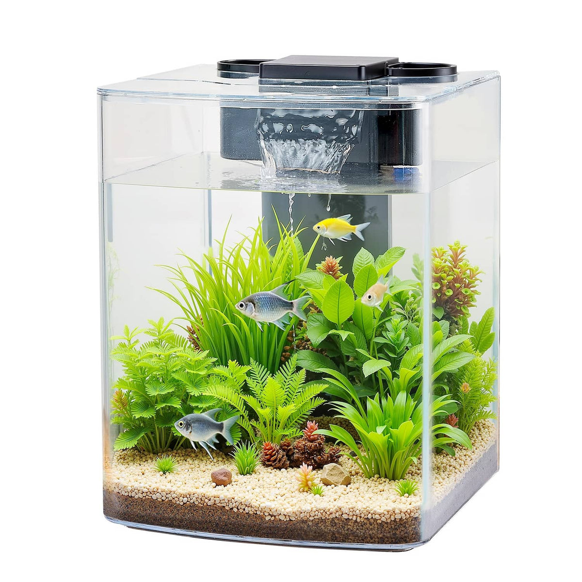 Clear plastic aquarium tank with LED top unit, fish swimming among green plants