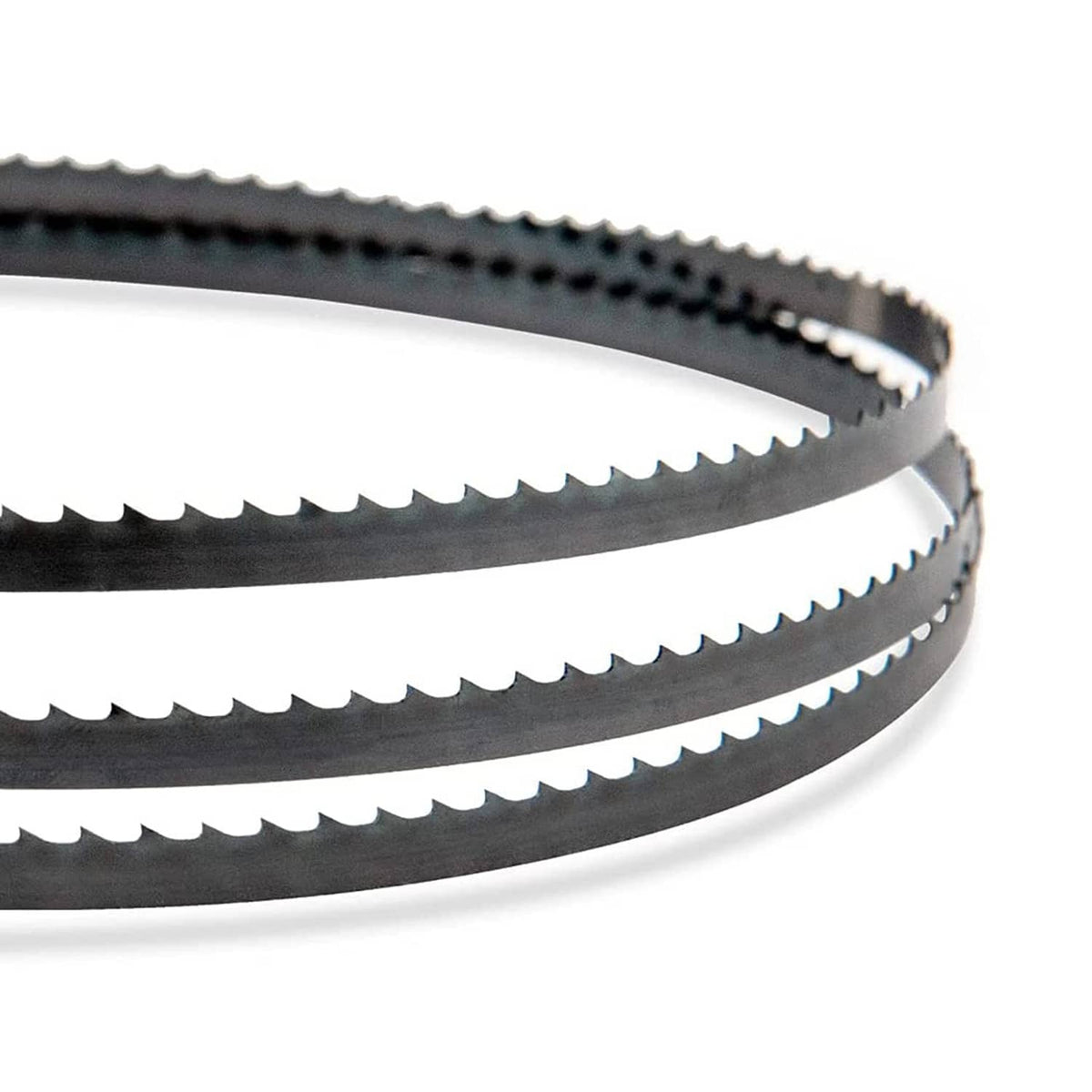 Black band saw blade loop with toothed edge, close-up