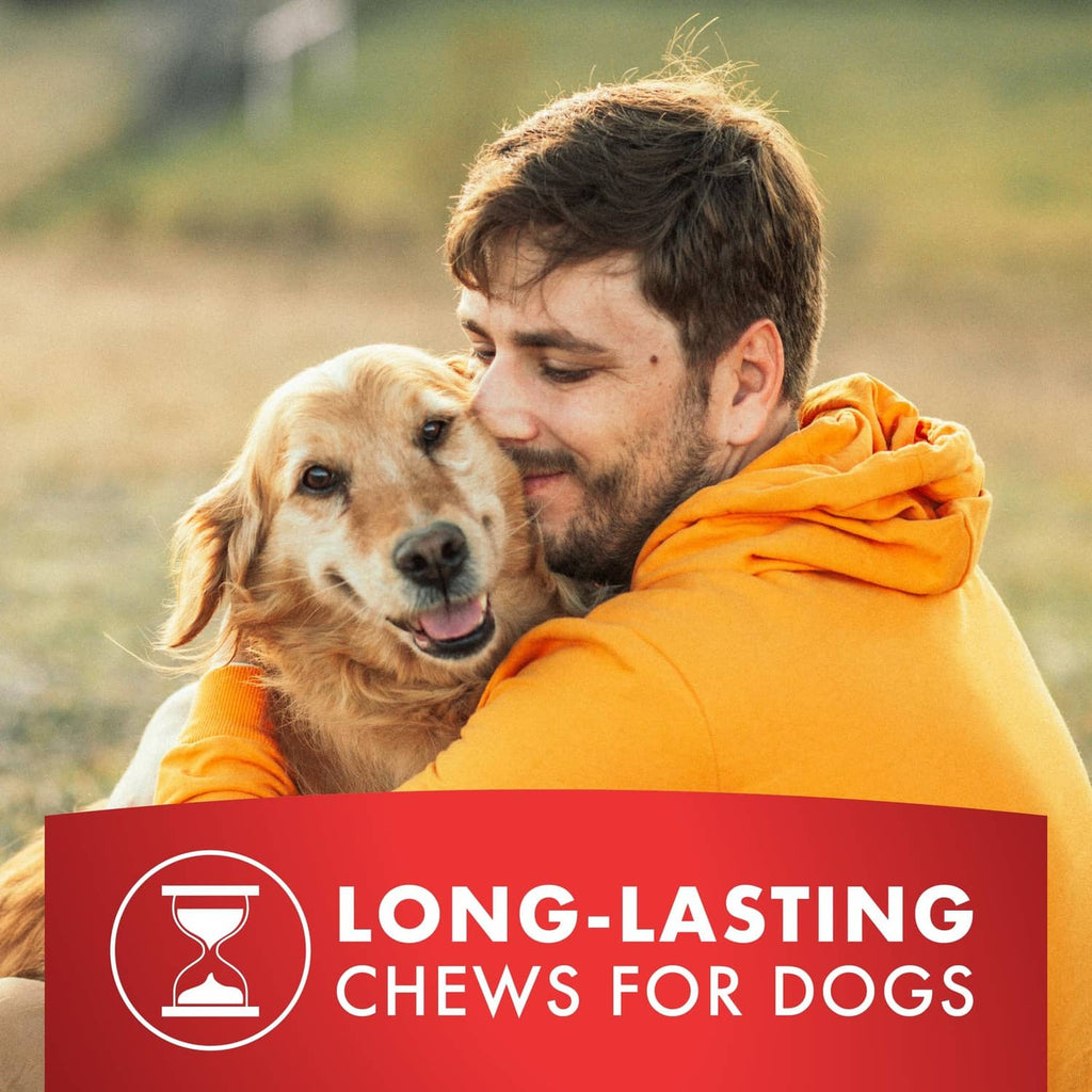 Person cuddling dog with label 'LONG-LASTING CHEWS FOR DOGS'
