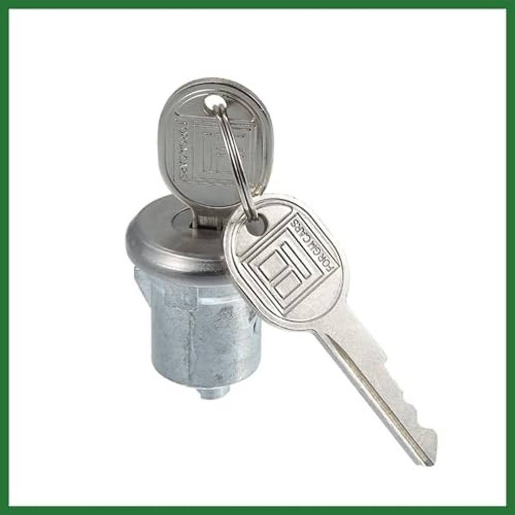Car door lock cylinder with two keys on keyring, silver metal