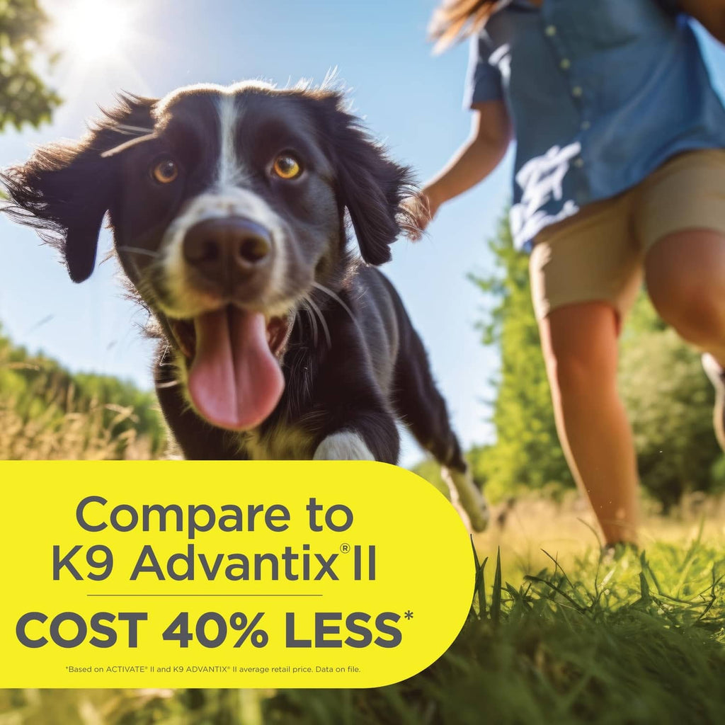 Black and white dog being held outdoors while wearing a flea and tick product