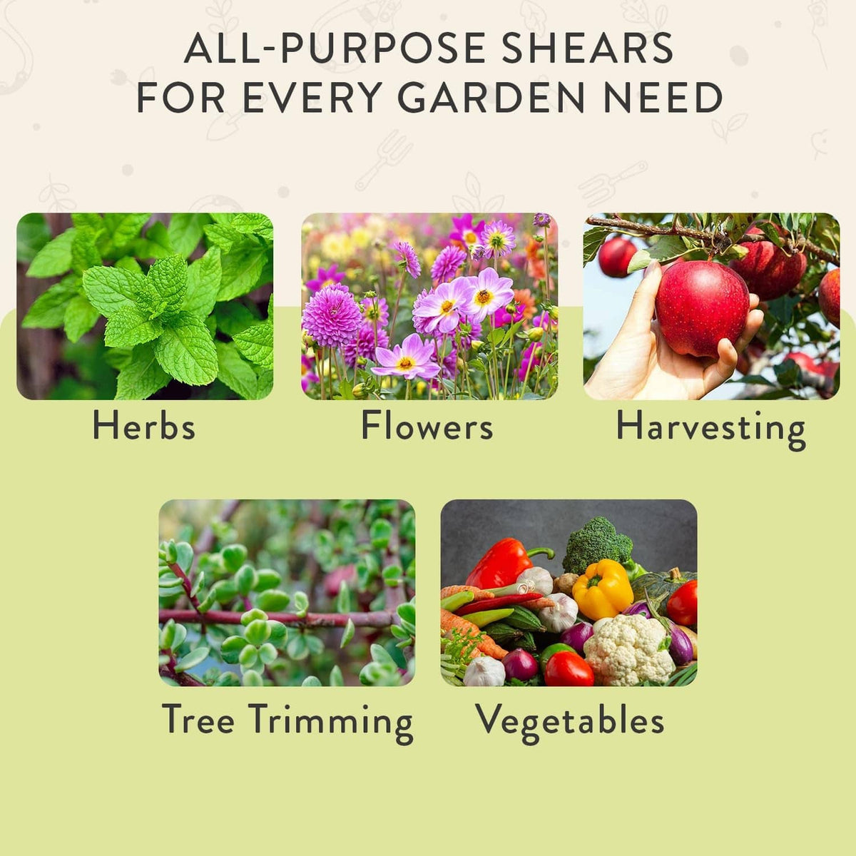 Pruning shears all-purpose infographic with garden and harvesting category photos