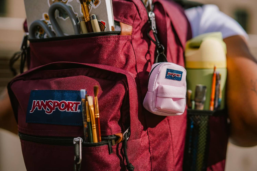 Pink mini backpack with JanSport patch, clipped onto a larger bag