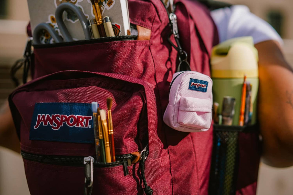 Pink mini backpack with JanSport patch, clipped onto a larger bag