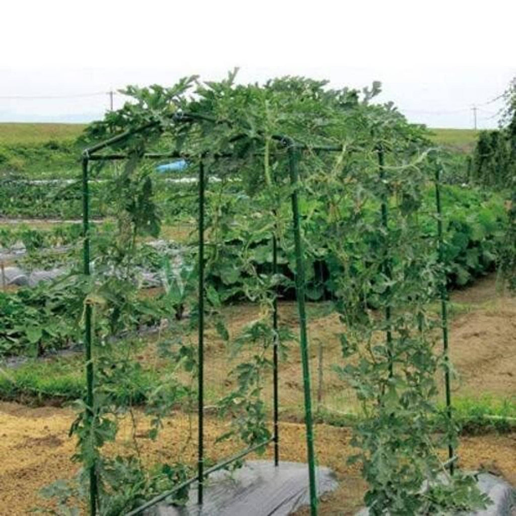 Green square mesh trellis structure supporting dense climbing plants