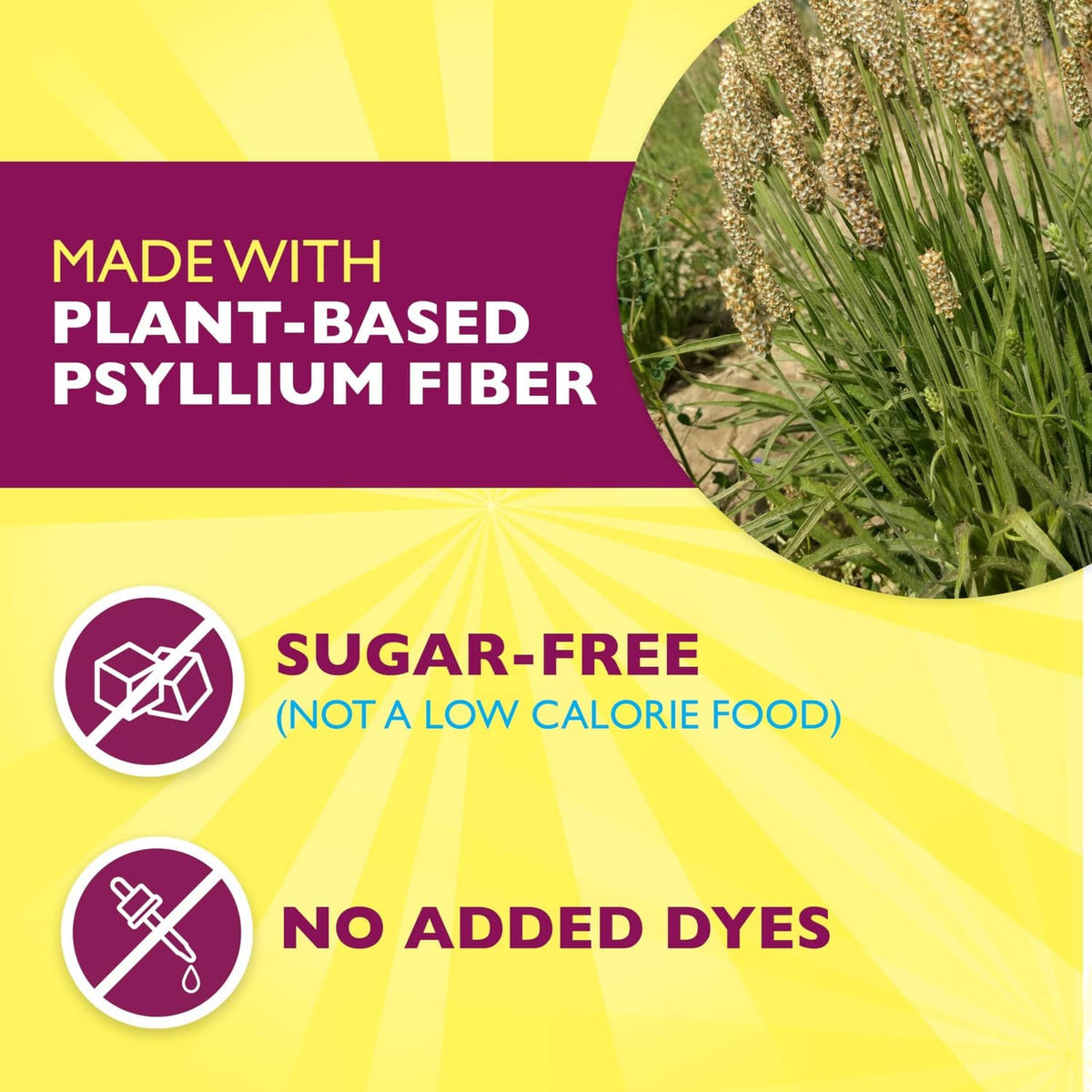 Made with plant-based psyllium fiber; sugar-free, no added dyes label
