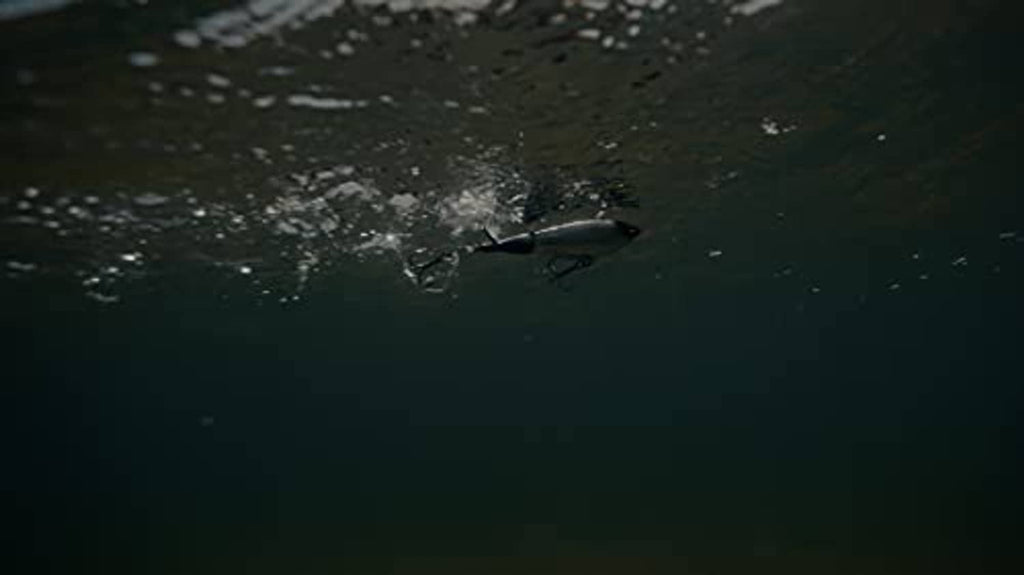 Topwater fishing lure swimming underwater with hooks