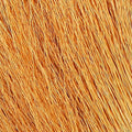 Root beer-colored bucktail dubbing fibers with fine orange-brown strands texture