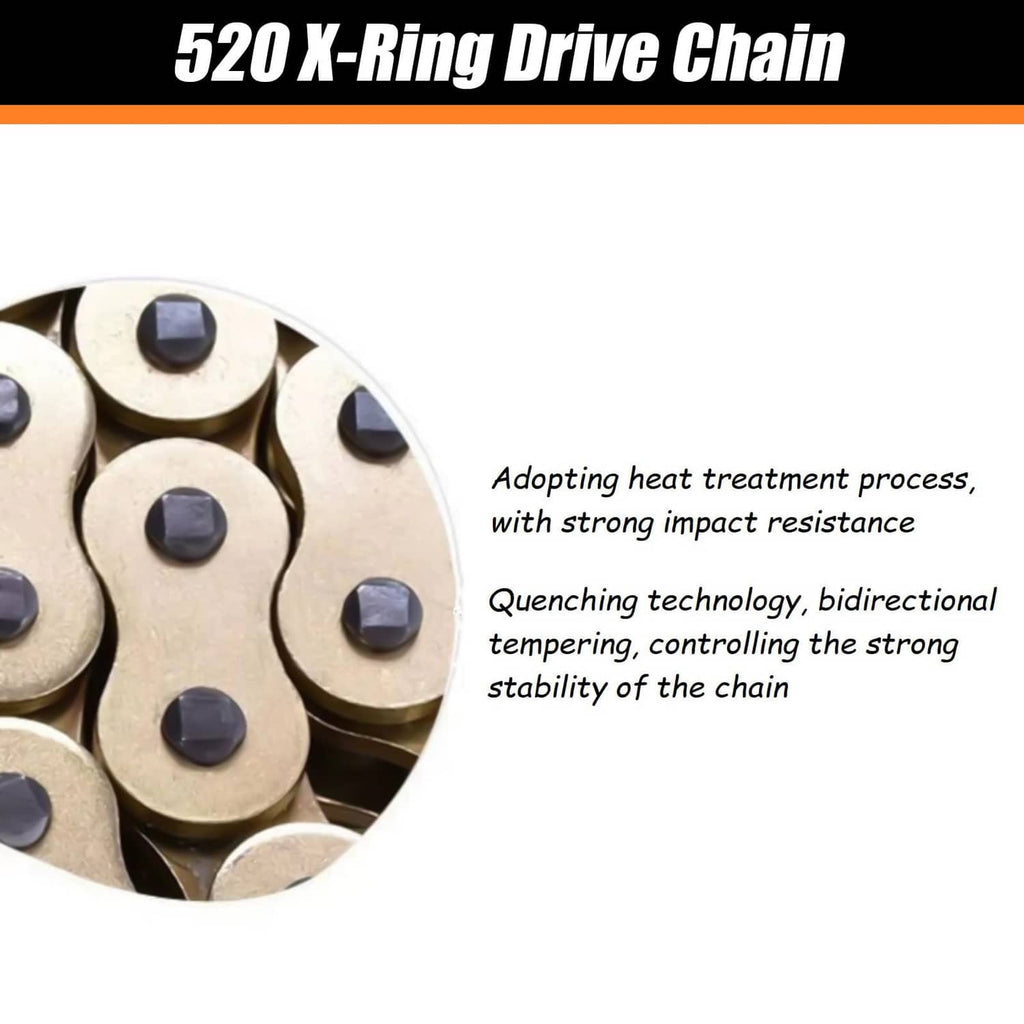 Close-up of 520 X-Ring drive chain links in gold with dark rivets