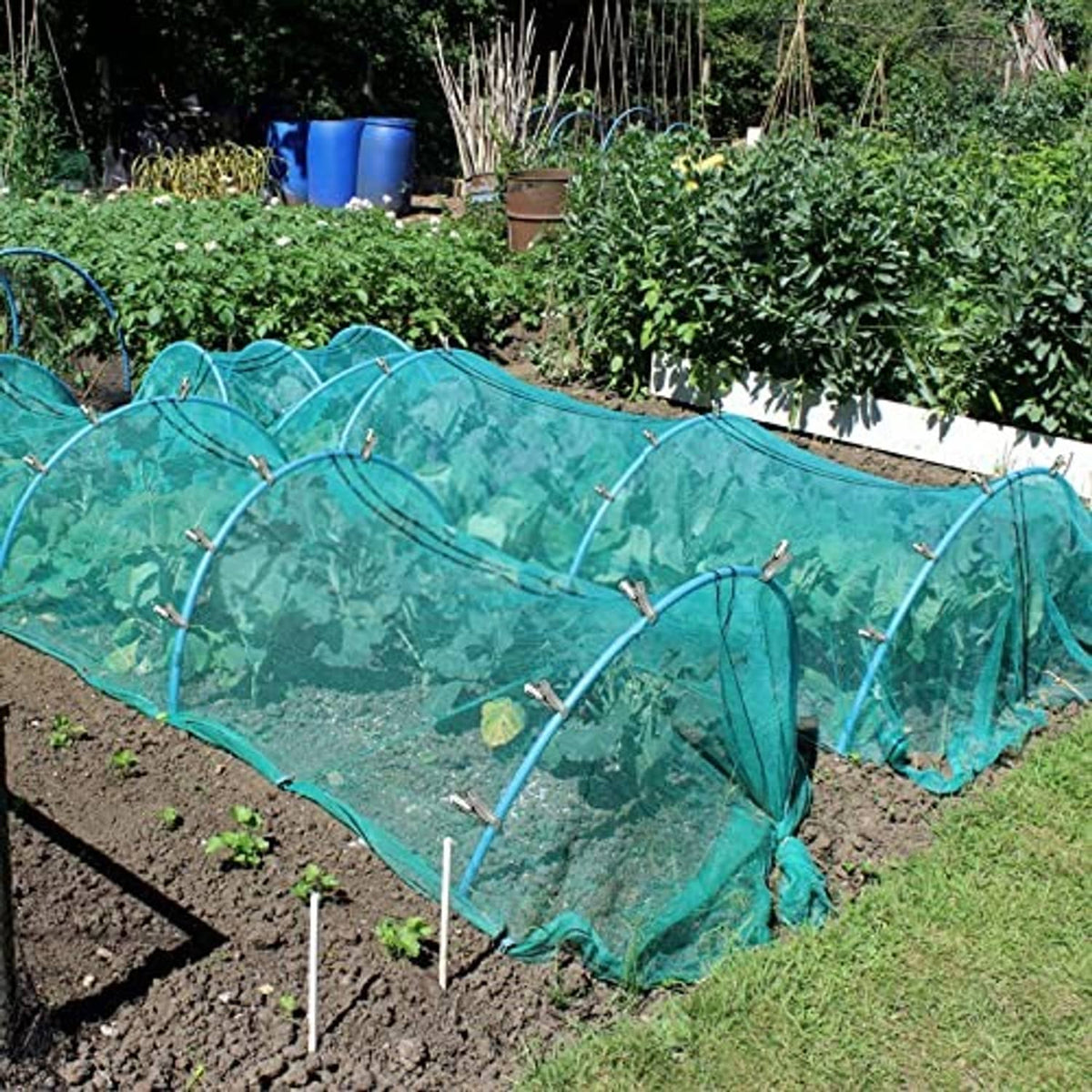 Stainless steel clips securing a blue mesh garden cover along the edge of a raised bed