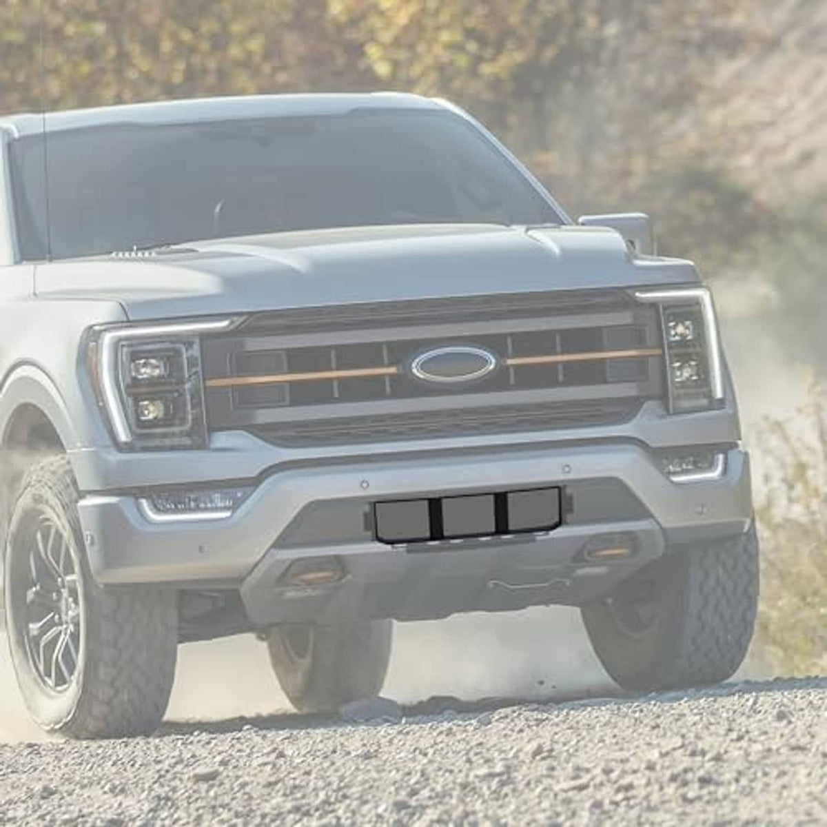 Black front lower center bumper grille on gray Ford F-150 front view