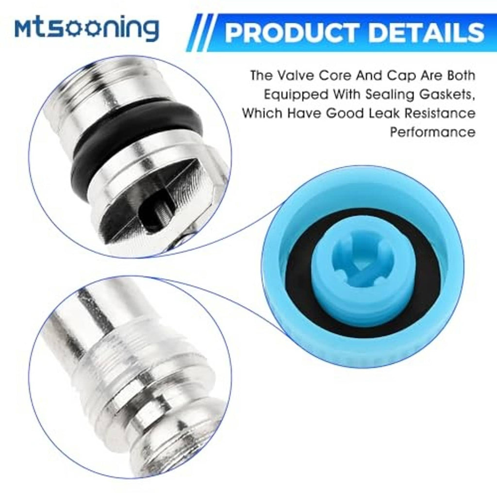 AC valve core and cap assembly with sealing gasket, blue cap detail